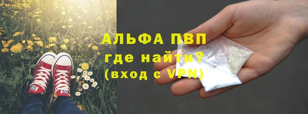 прущие крисы Аркадак
