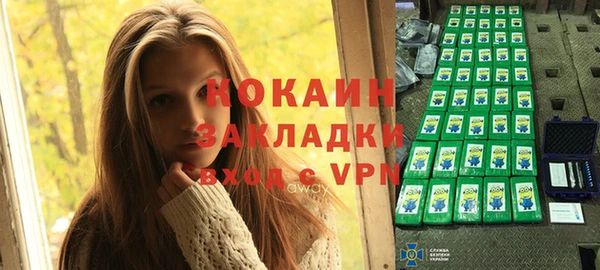 трава Арсеньев