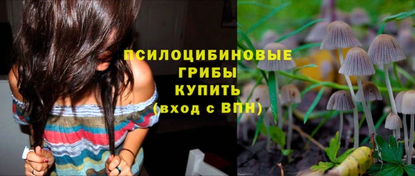 прущие крисы Аркадак