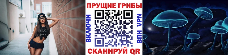 Псилоцибиновые грибы прущие грибы Мценск